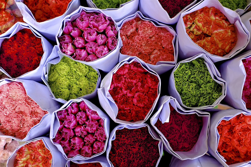 9. Platz Peter Marion